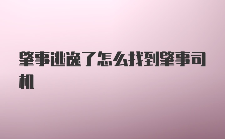 肇事逃逸了怎么找到肇事司机