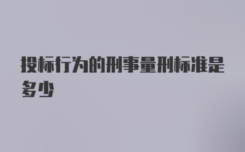 投标行为的刑事量刑标准是多少