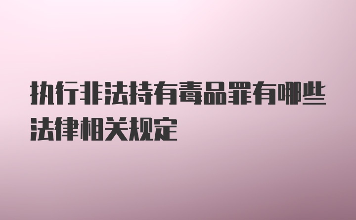 执行非法持有毒品罪有哪些法律相关规定