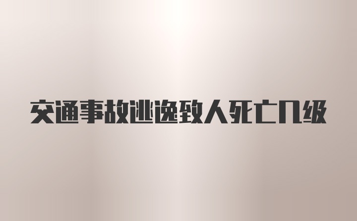 交通事故逃逸致人死亡几级