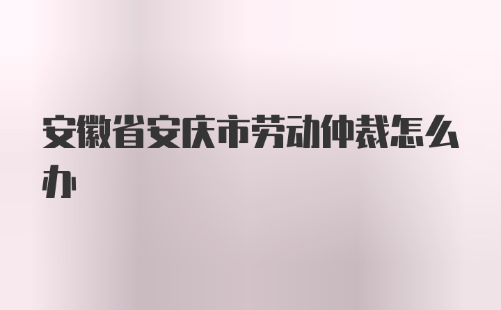 安徽省安庆市劳动仲裁怎么办