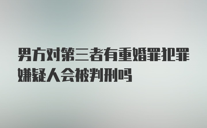 男方对第三者有重婚罪犯罪嫌疑人会被判刑吗