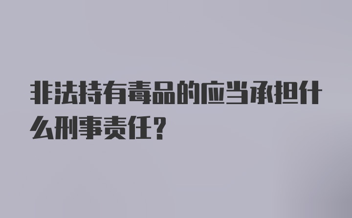 非法持有毒品的应当承担什么刑事责任？