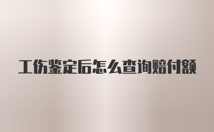 工伤鉴定后怎么查询赔付额