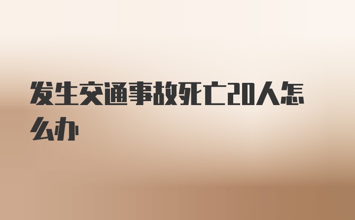 发生交通事故死亡20人怎么办