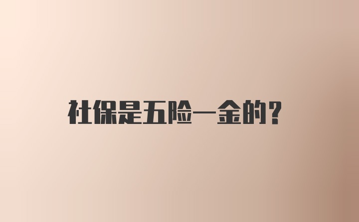 社保是五险一金的？