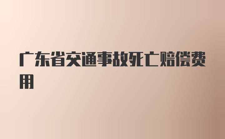 广东省交通事故死亡赔偿费用