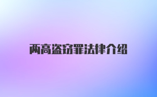 两高盗窃罪法律介绍