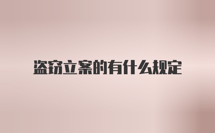 盗窃立案的有什么规定