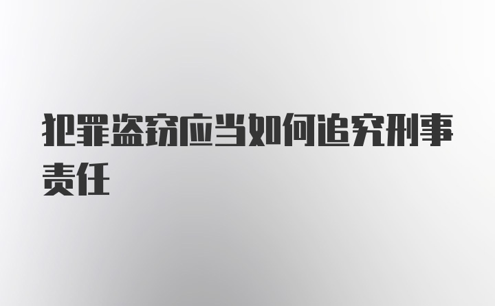 犯罪盗窃应当如何追究刑事责任