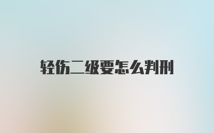 轻伤二级要怎么判刑