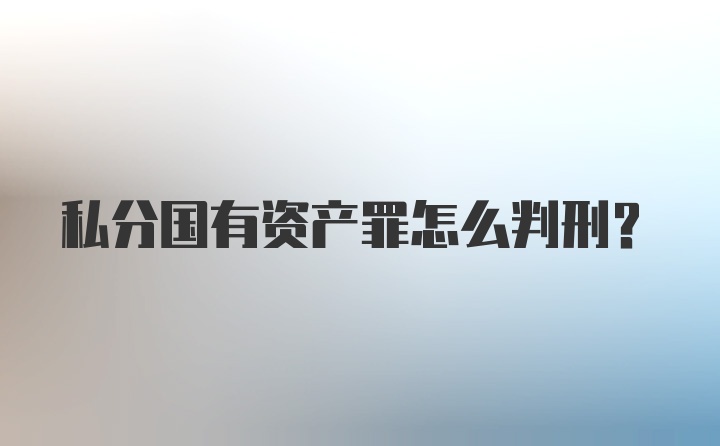 私分国有资产罪怎么判刑？