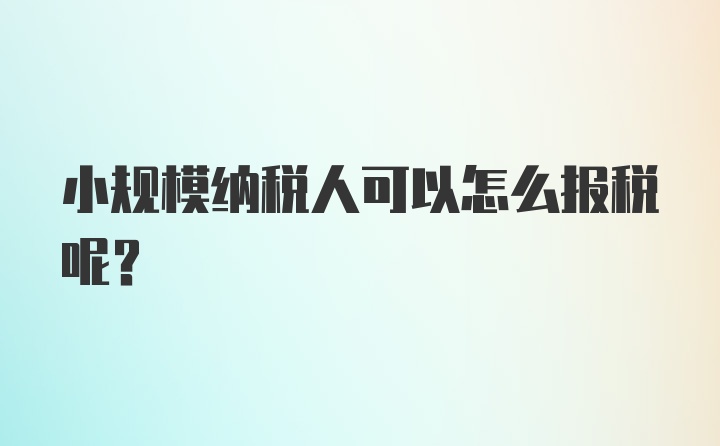 小规模纳税人可以怎么报税呢？