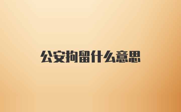 公安拘留什么意思