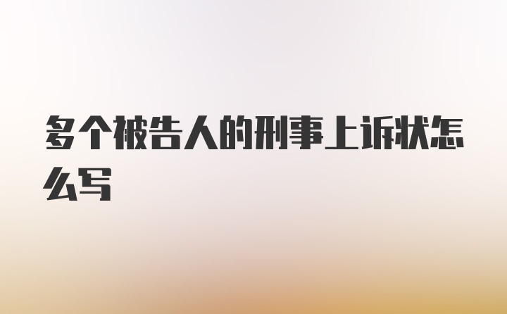 多个被告人的刑事上诉状怎么写