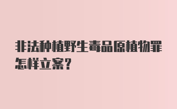 非法种植野生毒品原植物罪怎样立案？