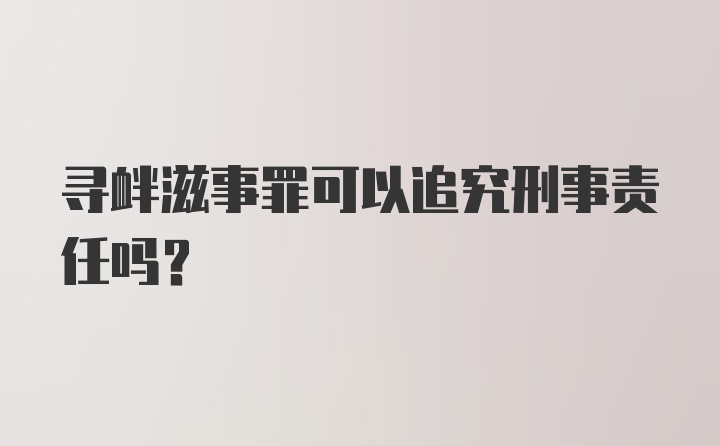 寻衅滋事罪可以追究刑事责任吗？