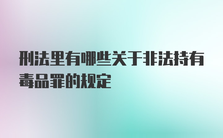 刑法里有哪些关于非法持有毒品罪的规定