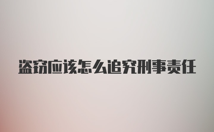 盗窃应该怎么追究刑事责任