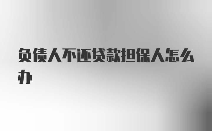 负债人不还贷款担保人怎么办