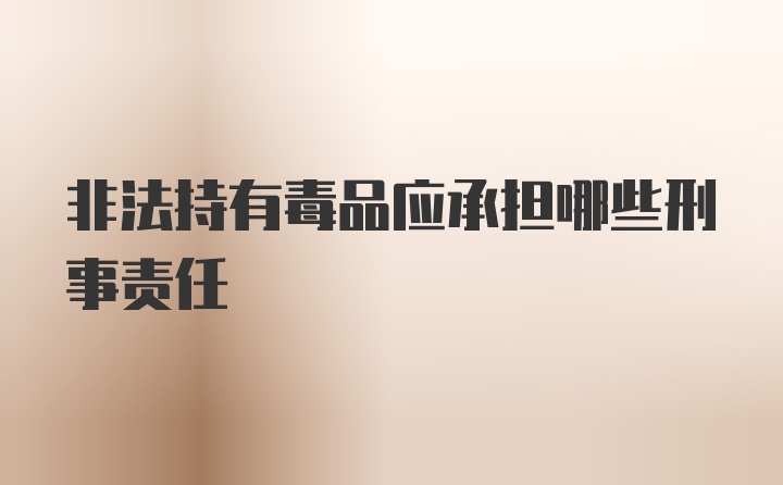 非法持有毒品应承担哪些刑事责任