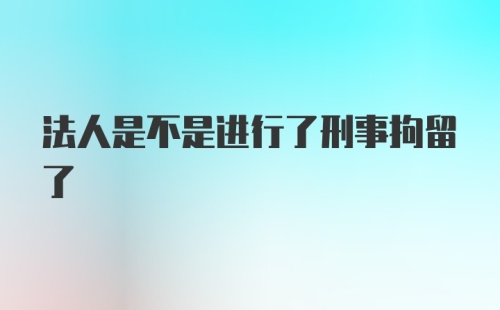 法人是不是进行了刑事拘留了