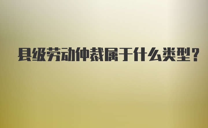 县级劳动仲裁属于什么类型？