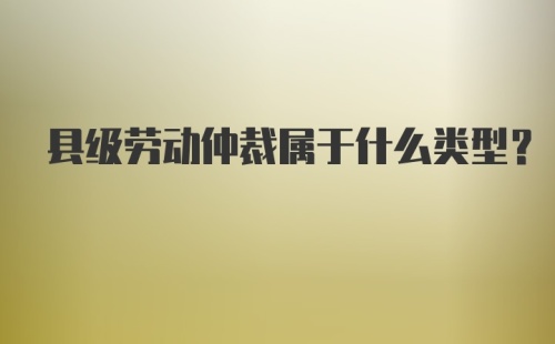 县级劳动仲裁属于什么类型？