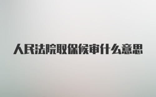 人民法院取保候审什么意思