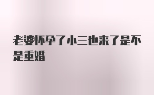 老婆怀孕了小三也来了是不是重婚