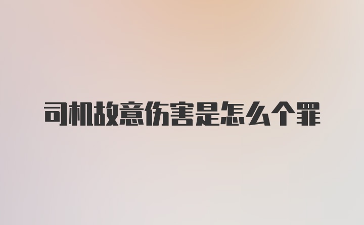 司机故意伤害是怎么个罪