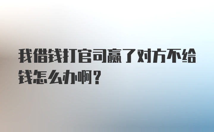 我借钱打官司赢了对方不给钱怎么办啊？