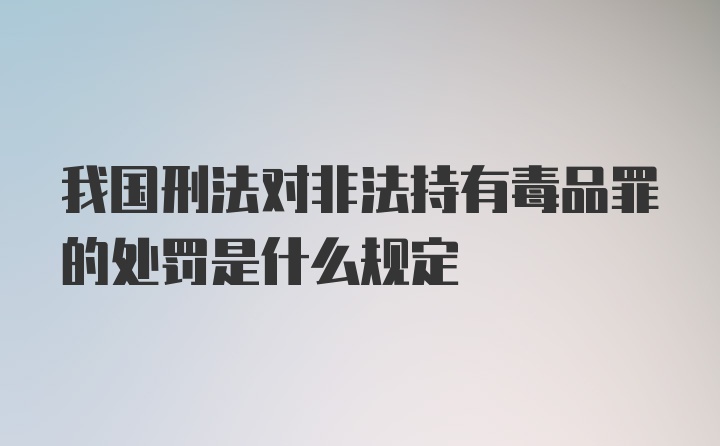 我国刑法对非法持有毒品罪的处罚是什么规定