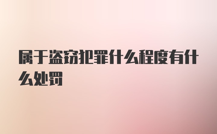 属于盗窃犯罪什么程度有什么处罚