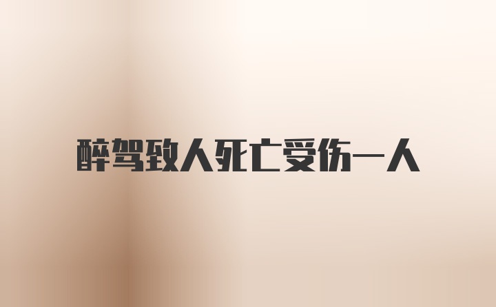 醉驾致人死亡受伤一人