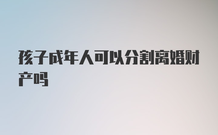 孩子成年人可以分割离婚财产吗