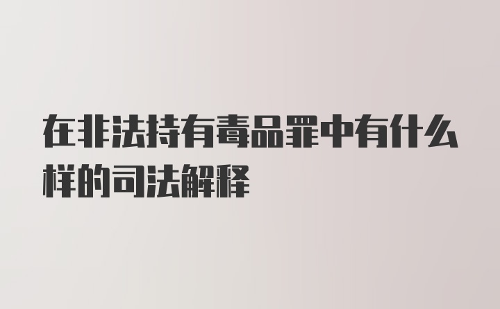 在非法持有毒品罪中有什么样的司法解释