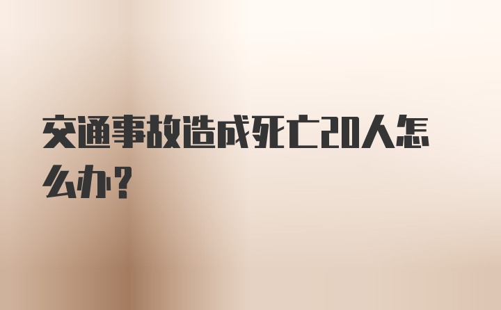 交通事故造成死亡20人怎么办？