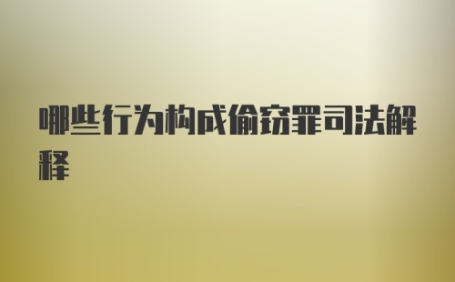 哪些行为构成偷窃罪司法解释