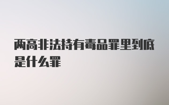 两高非法持有毒品罪里到底是什么罪