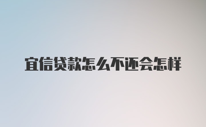 宜信贷款怎么不还会怎样