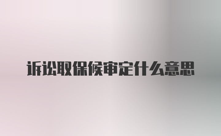 诉讼取保候审定什么意思