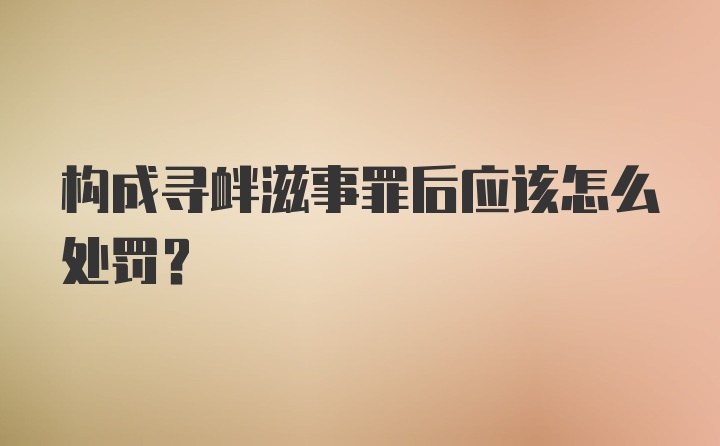 构成寻衅滋事罪后应该怎么处罚？