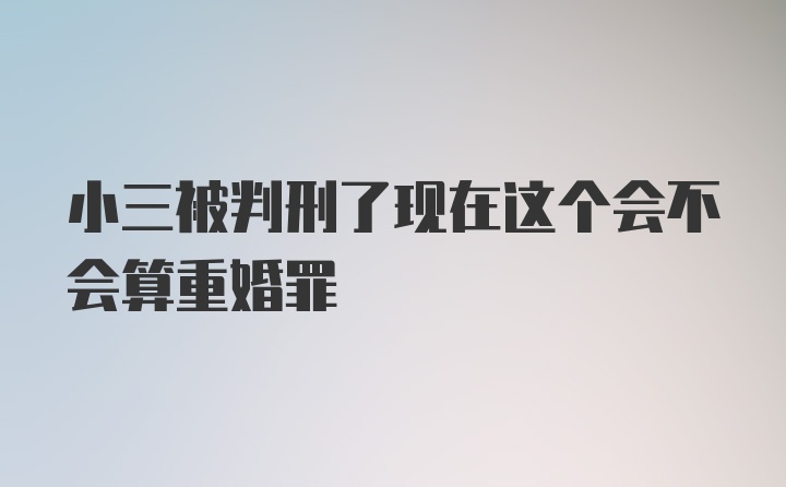 小三被判刑了现在这个会不会算重婚罪