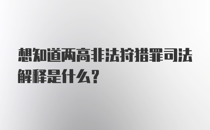 想知道两高非法狩猎罪司法解释是什么？