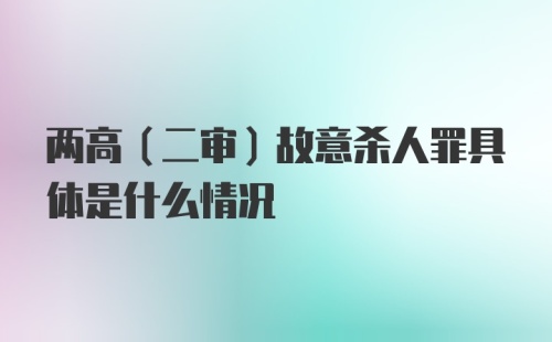 两高（二审）故意杀人罪具体是什么情况