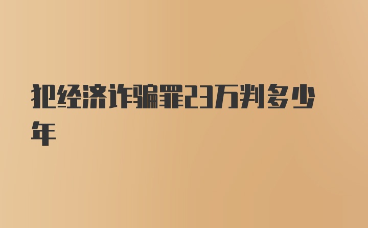 犯经济诈骗罪23万判多少年