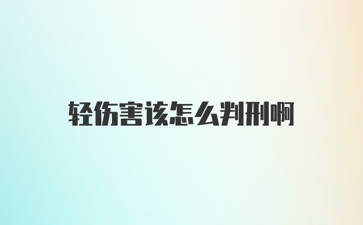 轻伤害该怎么判刑啊