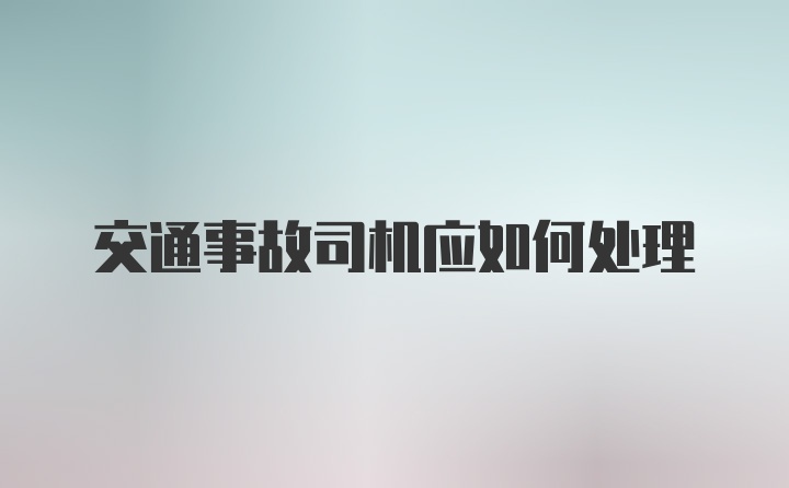 交通事故司机应如何处理