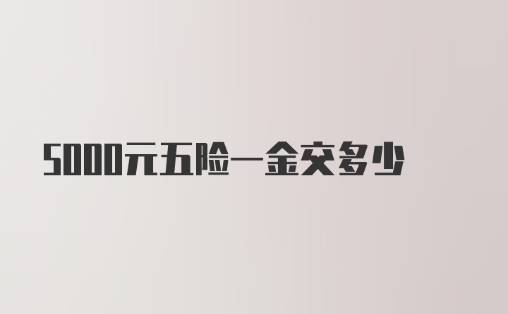 5000元五险一金交多少